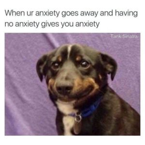 lack of anxiety causes anxiety
